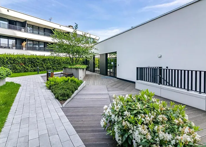 Portova - Billberry *